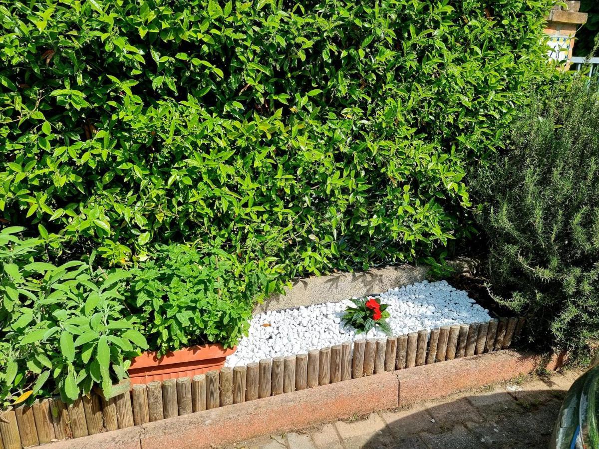 Hotel Orchidea Lignano Sabbiadoro Zewnętrze zdjęcie