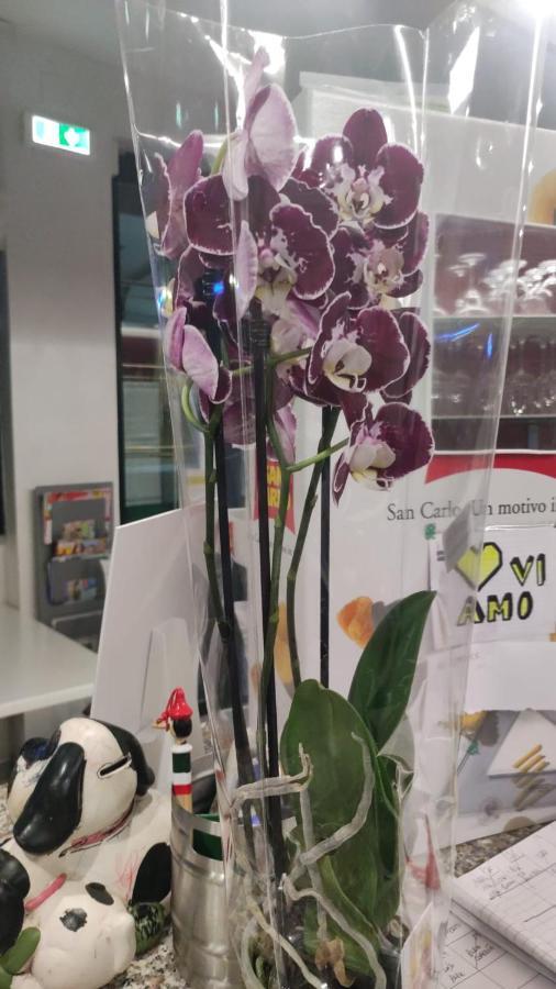 Hotel Orchidea Lignano Sabbiadoro Zewnętrze zdjęcie